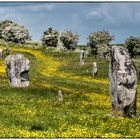 Steinkreis von Avebury