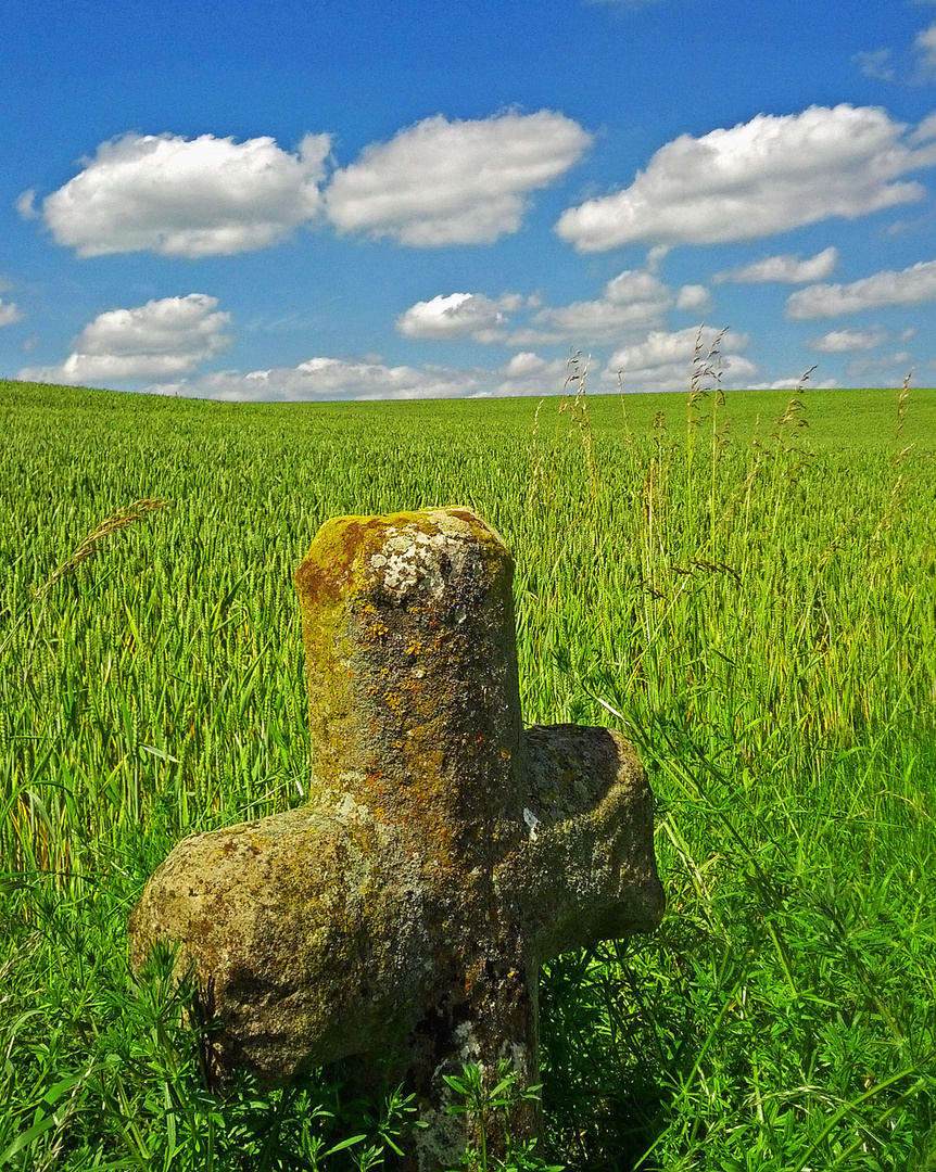 Steinkreuz im Feld ...