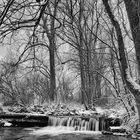 Steinlach bei Ofterdingen