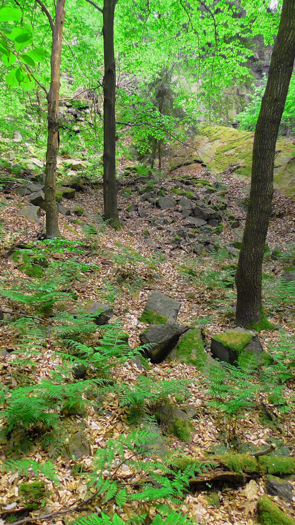 Steinlandschaft