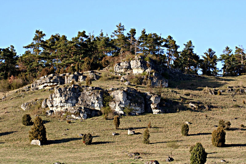 Steinlandschaft bei Kallmünz