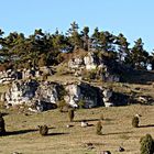 Steinlandschaft bei Kallmünz