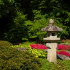 Steinlaterne im Japangarten