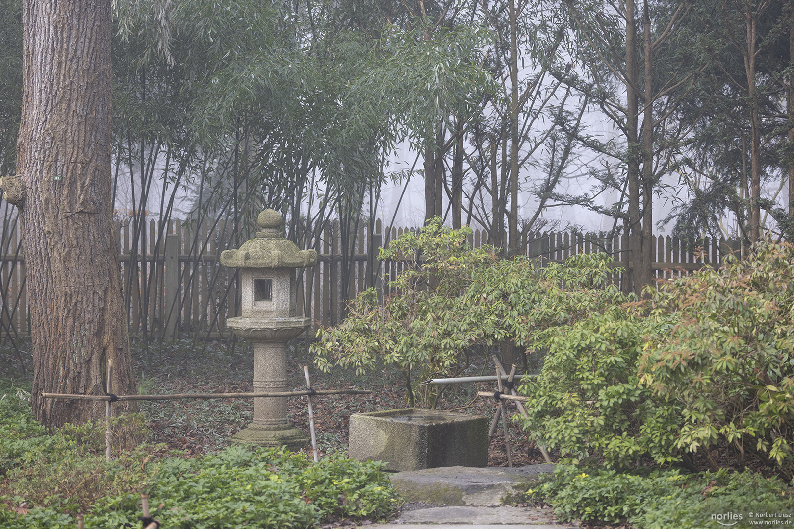 Steinlaterne im Japangarten