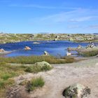 Steinmännchen auf dem Weg zum Kjerag