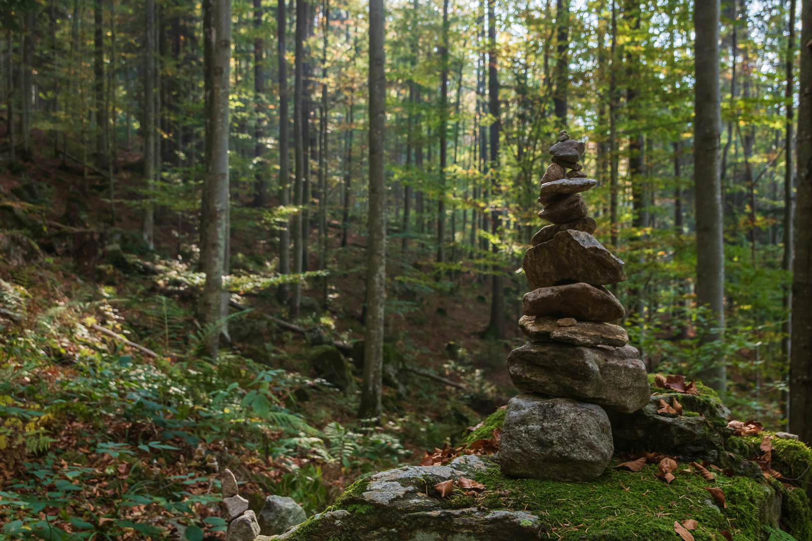 Steinmännchen im Schwarzwald