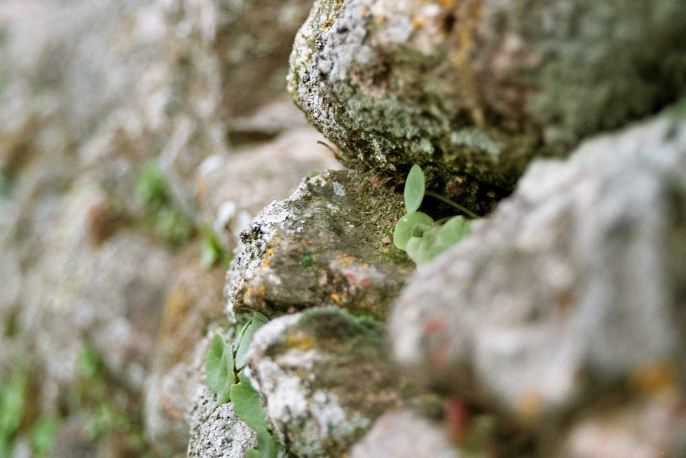 Steinmauer