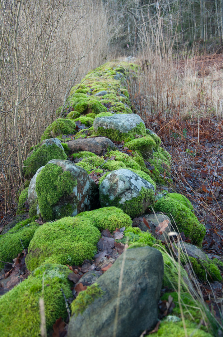 Steinmauer