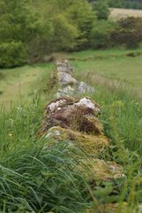 Steinmauer