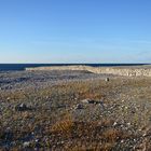 Steinmauer auf Gotland