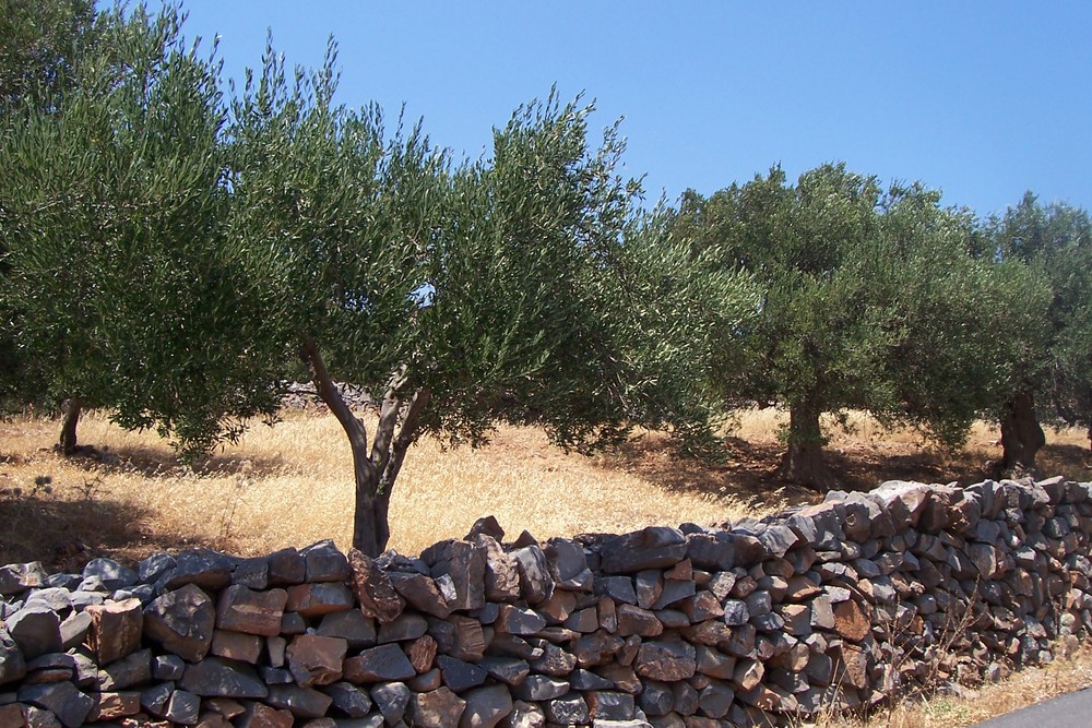 Steinmauer auf Kreta