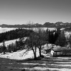 Steinmoosalm zwischen Sachrang  und Spitzstein