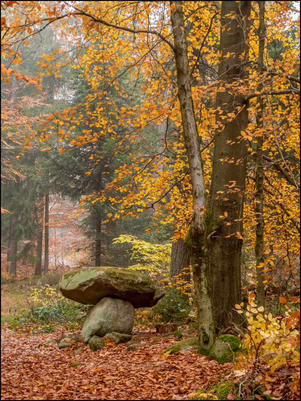 Steinpilz