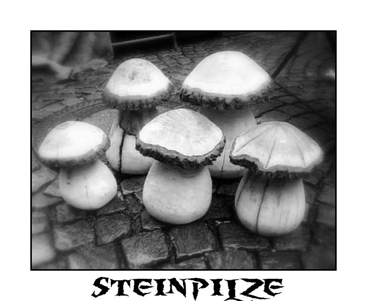 Steinpilze