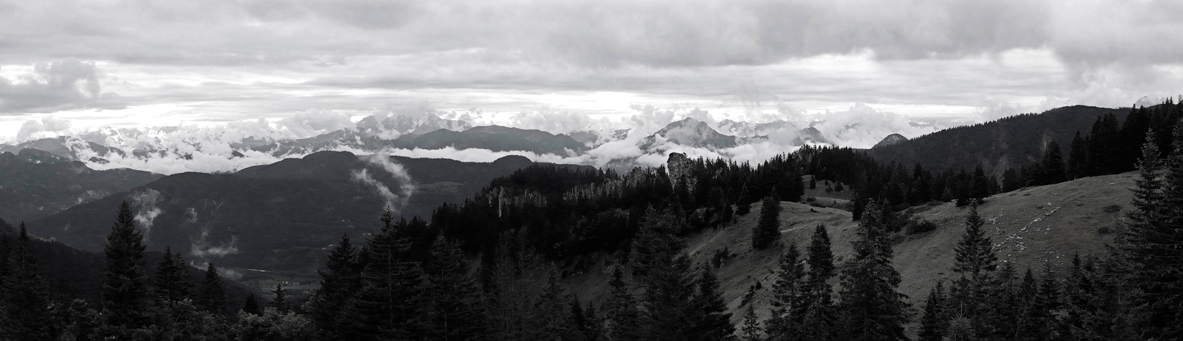 Steinpilzpano