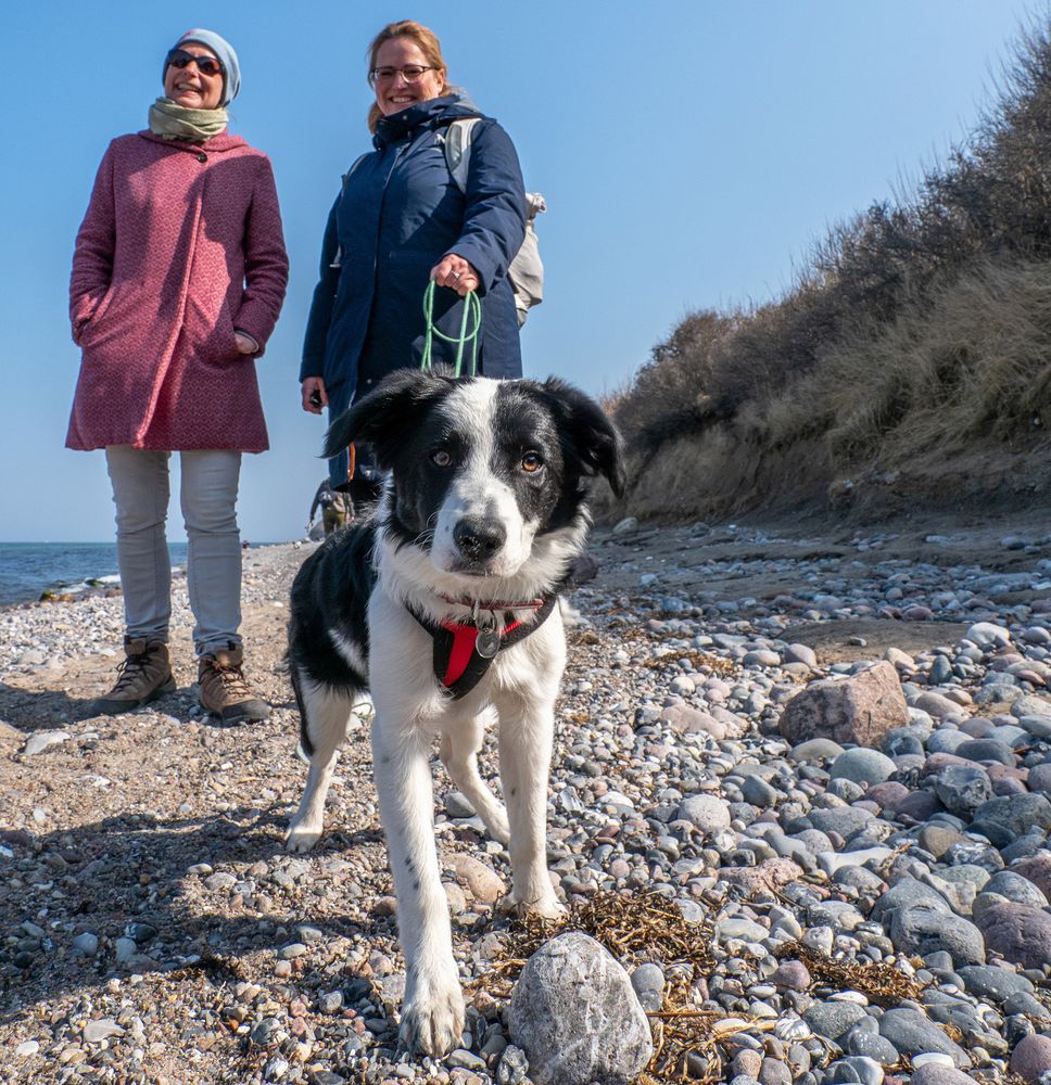 Steinreich und sauber: Der Naturstrand von Elmenhorst