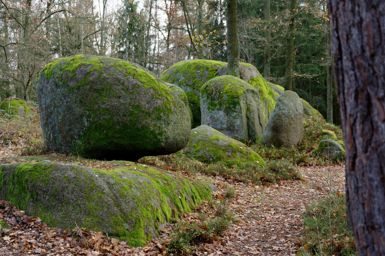 steinriesen