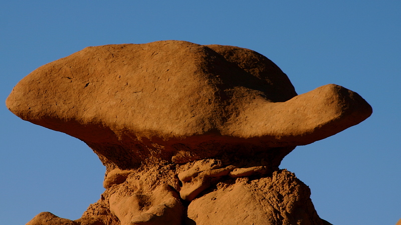 Steinschildkröte in Goblin Valley