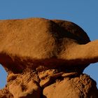 Steinschildkröte in Goblin Valley