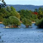 Steinsee bei Neuwied / Rhein