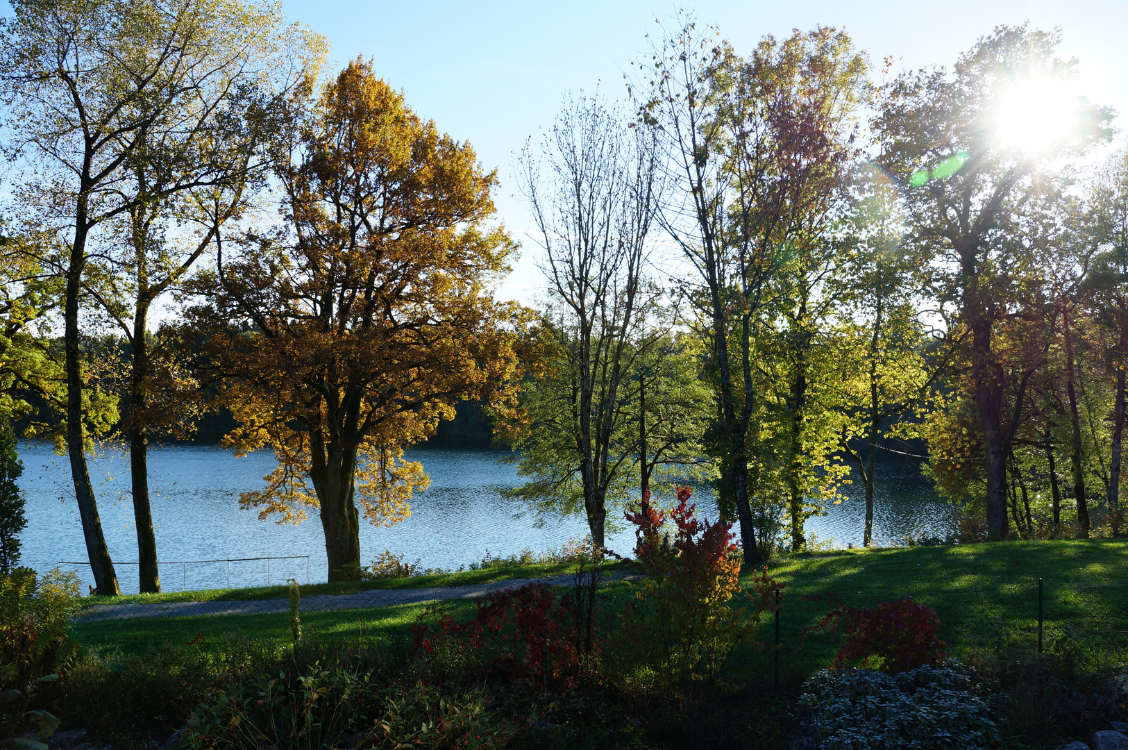 Steinsee im Herbst Südufer