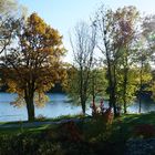 Steinsee im Herbst Südufer