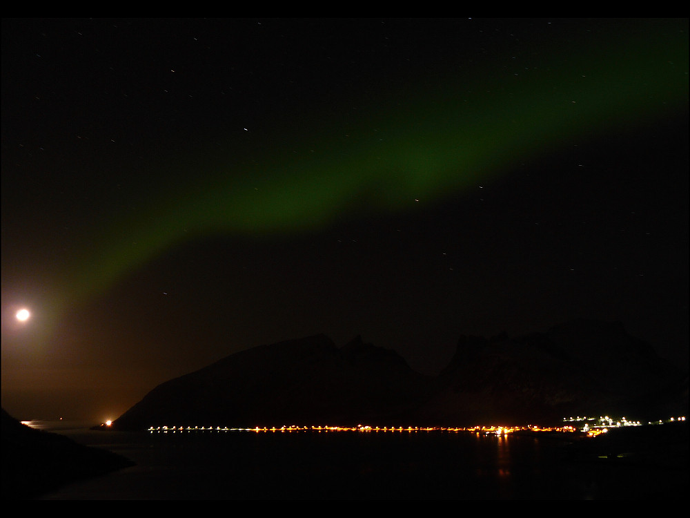 Steinsfjord