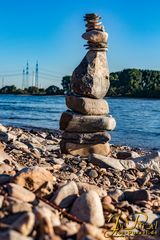 Steinstatuen (Steinhaufen) am Rhein (Leverkusen-Rheindorf)