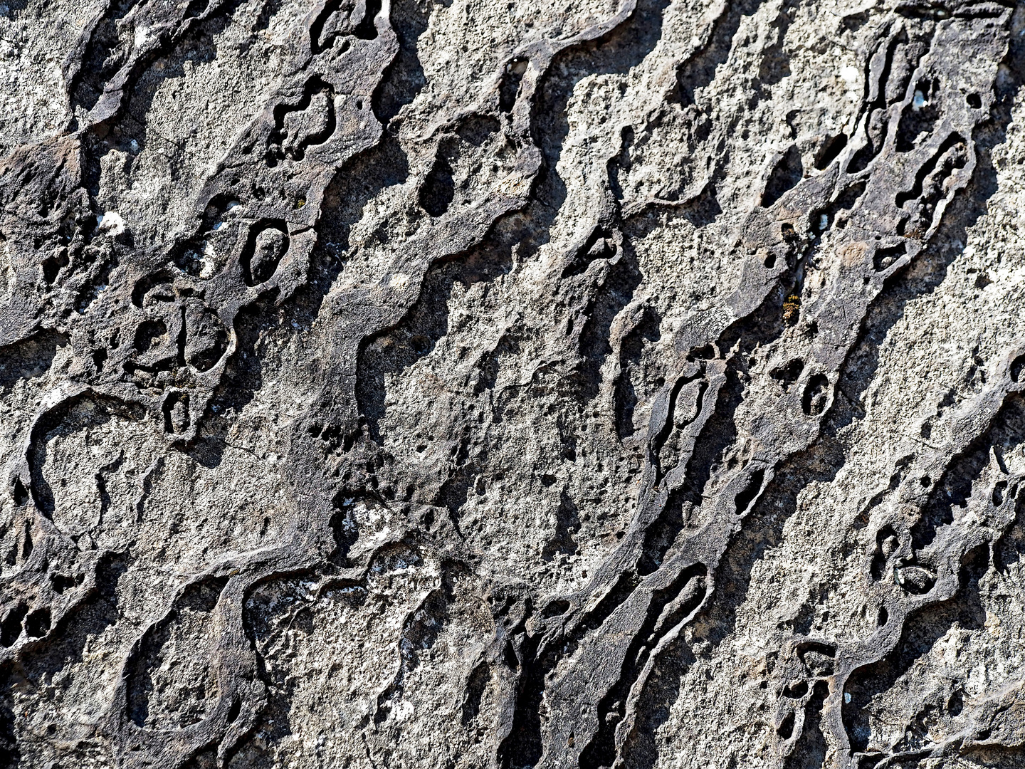 Steinstrukturen auf einem Felsen. - Des structures sur un grand rocher...