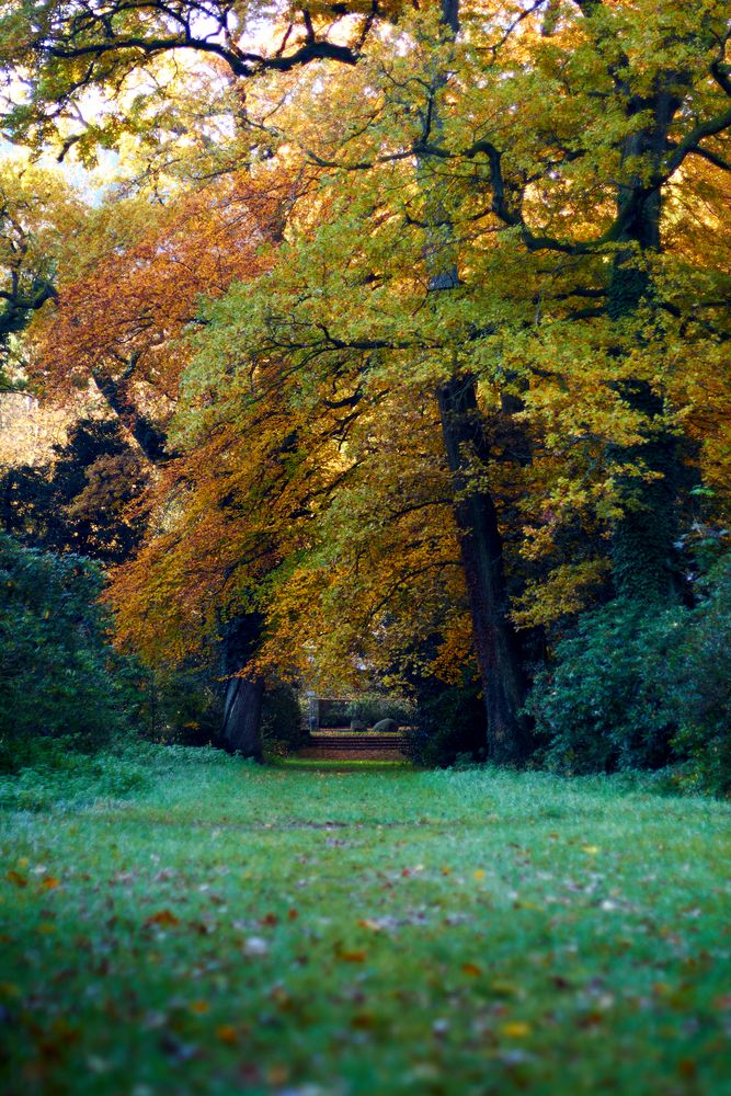 Steinstufen