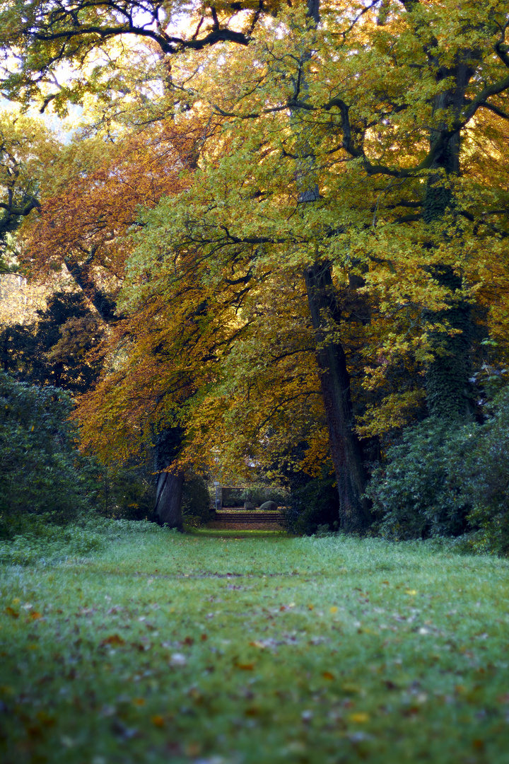 Steinstufen