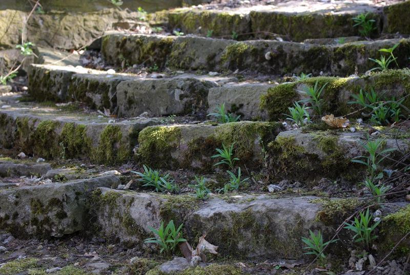 Steinstufen Foto &amp; Bild landschaft, garten