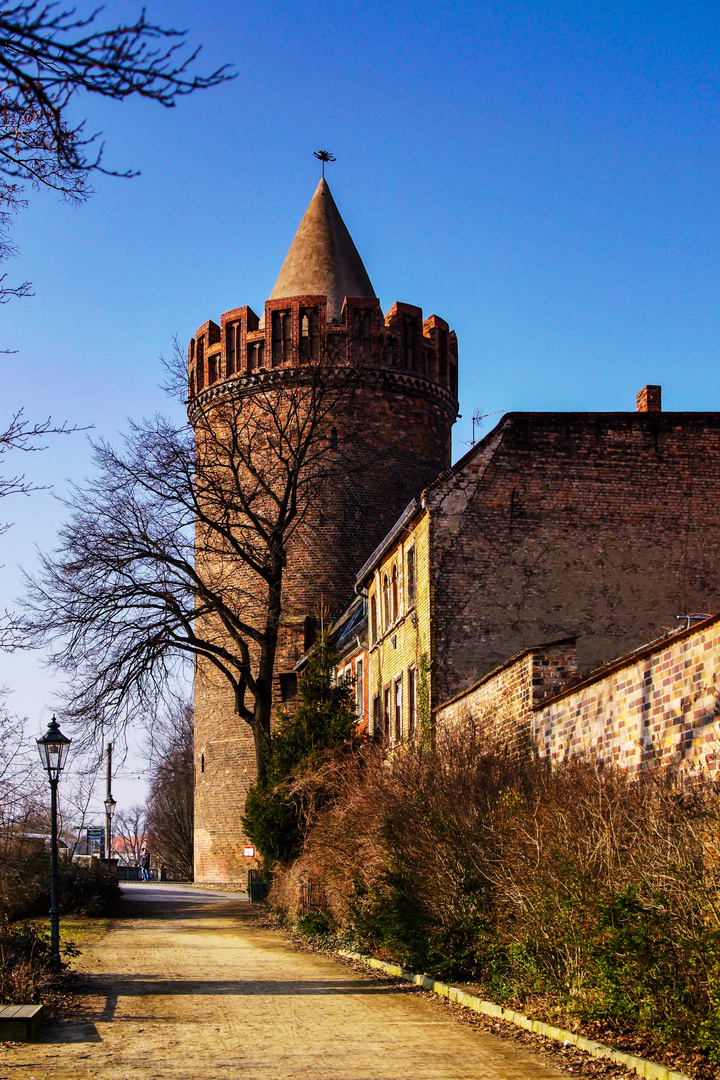 Steintorturm mit Stadtmauer
