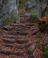 Steintreppe