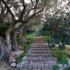 Steintreppe auf Palma de Mallorca