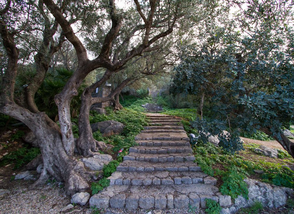 Steintreppe auf Palma de Mallorca