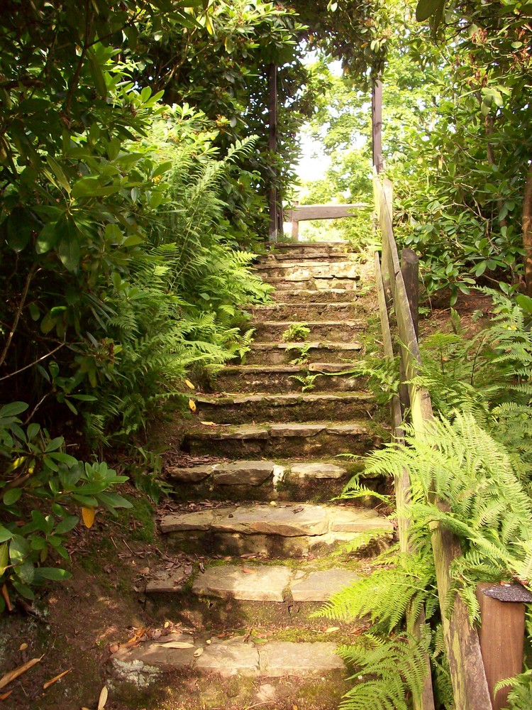 Steintreppe beim Landhotel / Schwarzenberg