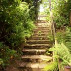 Steintreppe beim Landhotel / Schwarzenberg