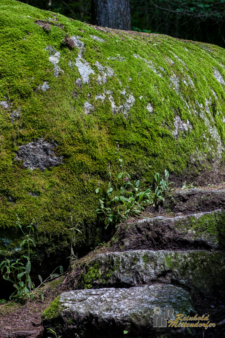 Steintreppe Ysperklamm