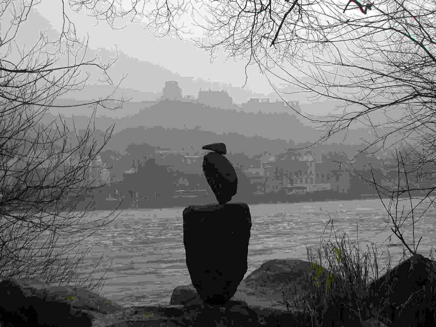 Steinvogel am Neckar