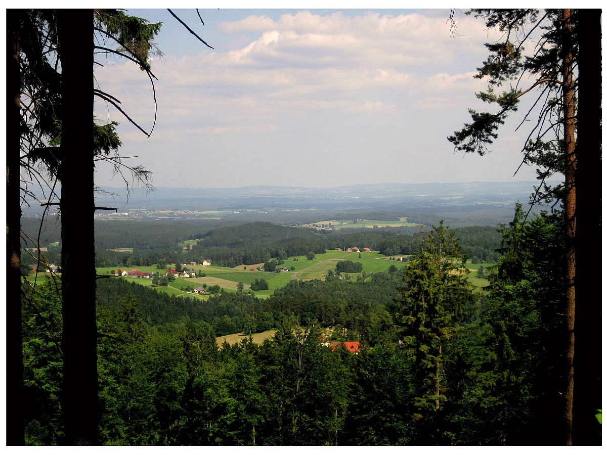 Steinwald-Blick