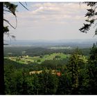 Steinwald-Blick