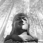 Steinwald Buddha
