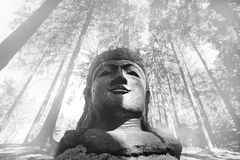 Steinwald Buddha