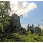 Steinwald - Zipfeltannenfelsen