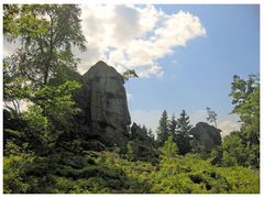 Steinwald - Zipfeltannenfelsen