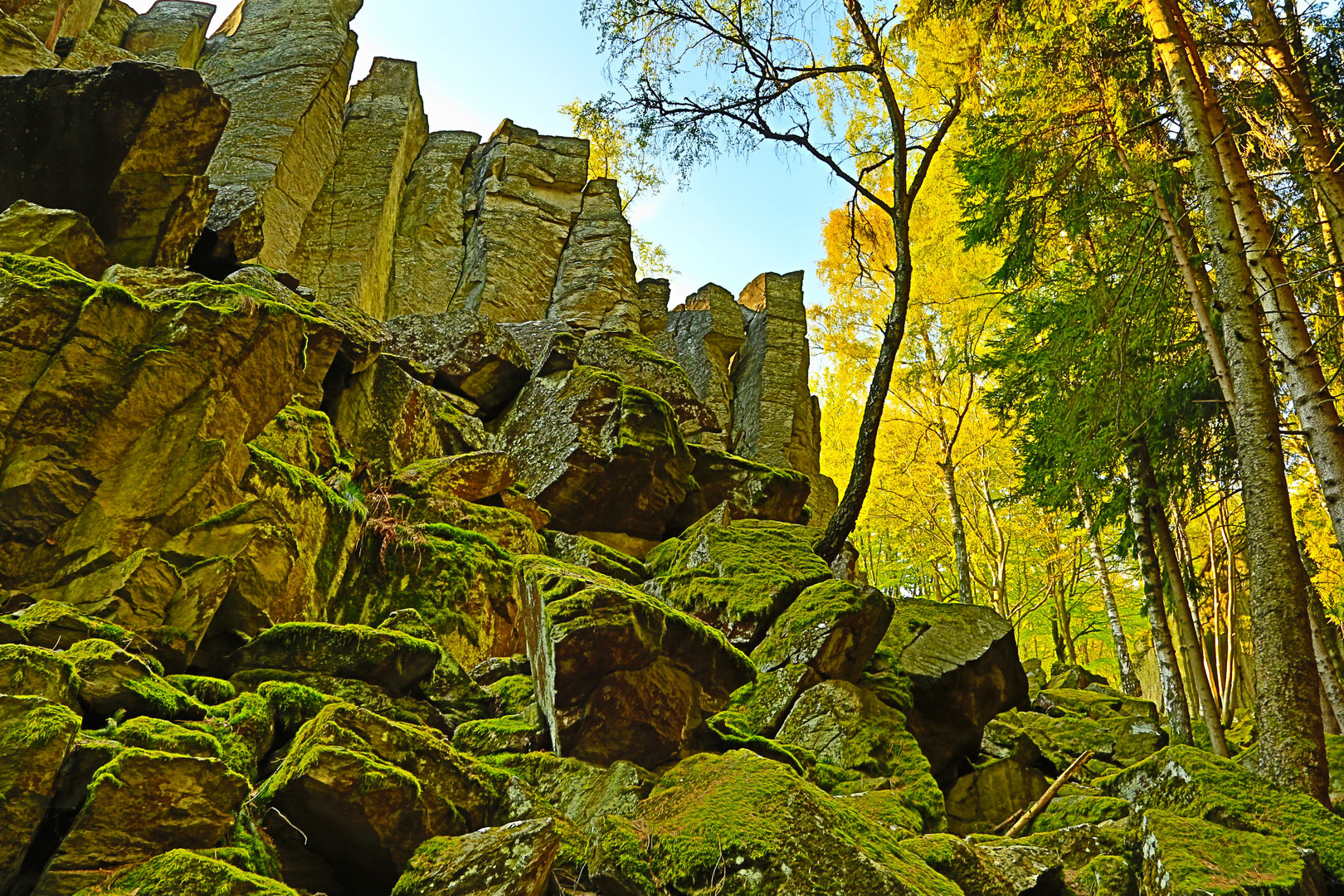 Steinwand in der Rhön