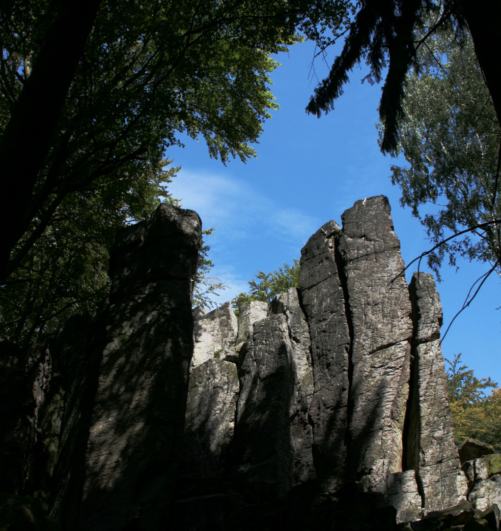 Steinwand in der Rhön