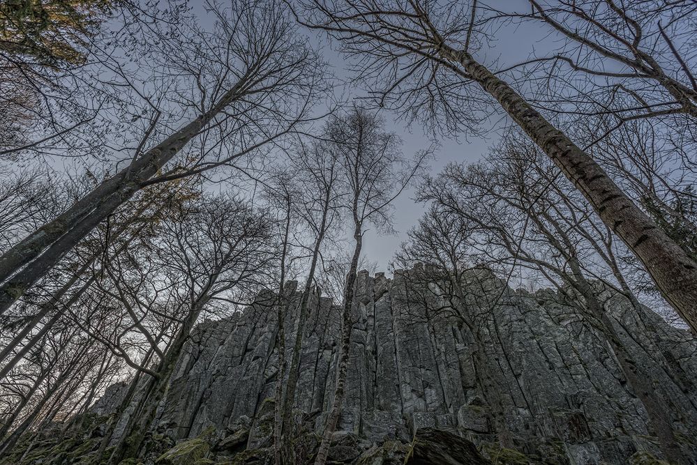 Steinwand in der Rhön