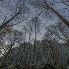 Steinwand in der Rhön